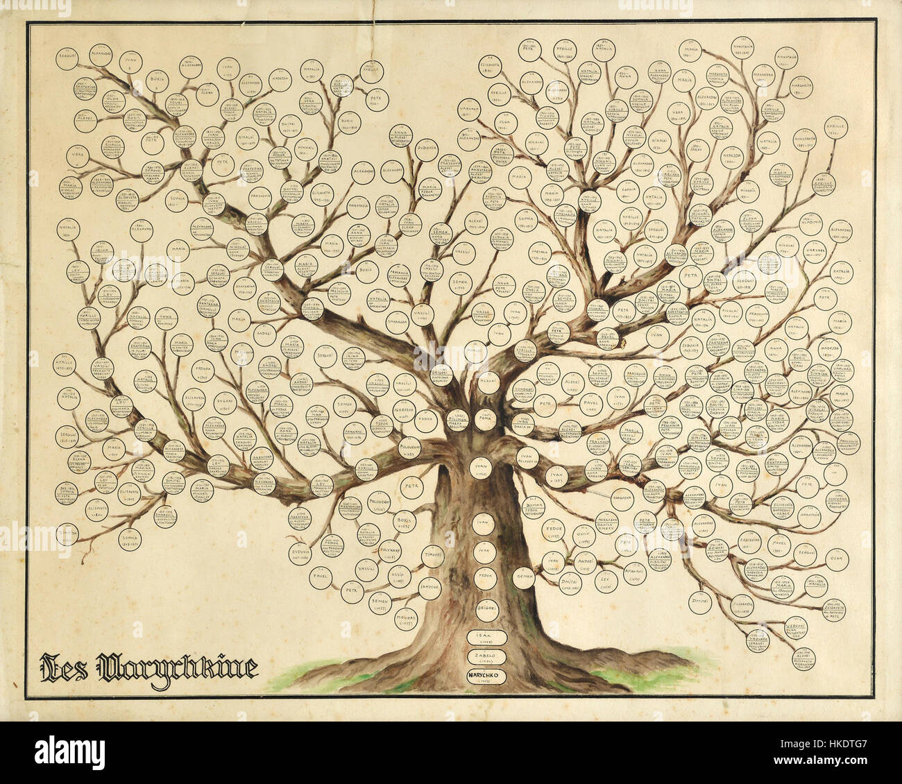 Naryshkin family tree Stock Photo - Alamy 