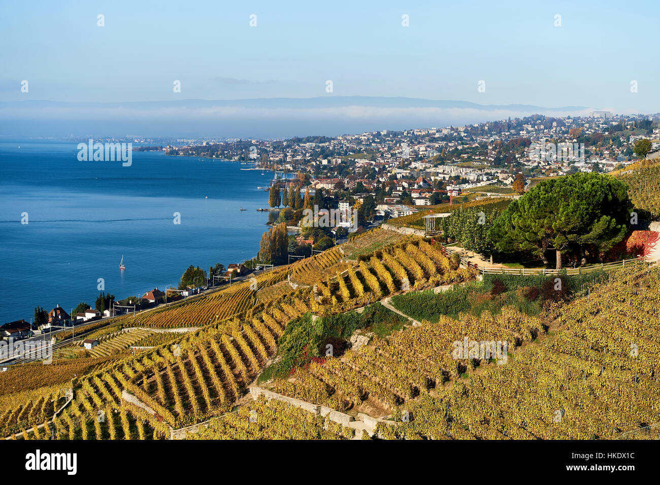 City lausanne lake geneva hi-res stock photography and images - Alamy
