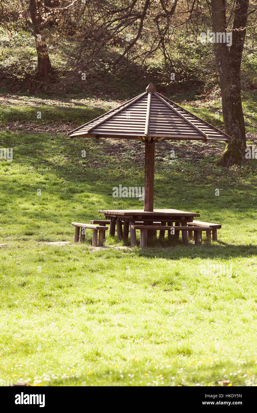 place for picnic in the woods, note shallow depth of field Stock Photo