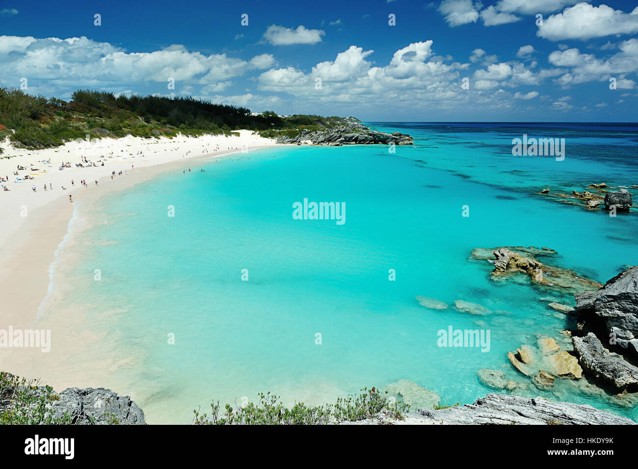 People on vacation in Pink Sand beach Bermuda Stock Photo