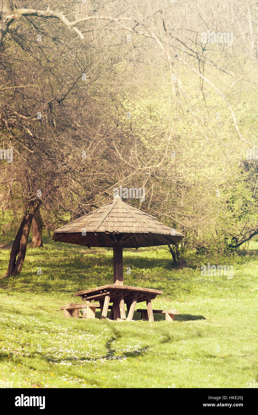 place for picnic in the woods, note shallow depth of field Stock Photo