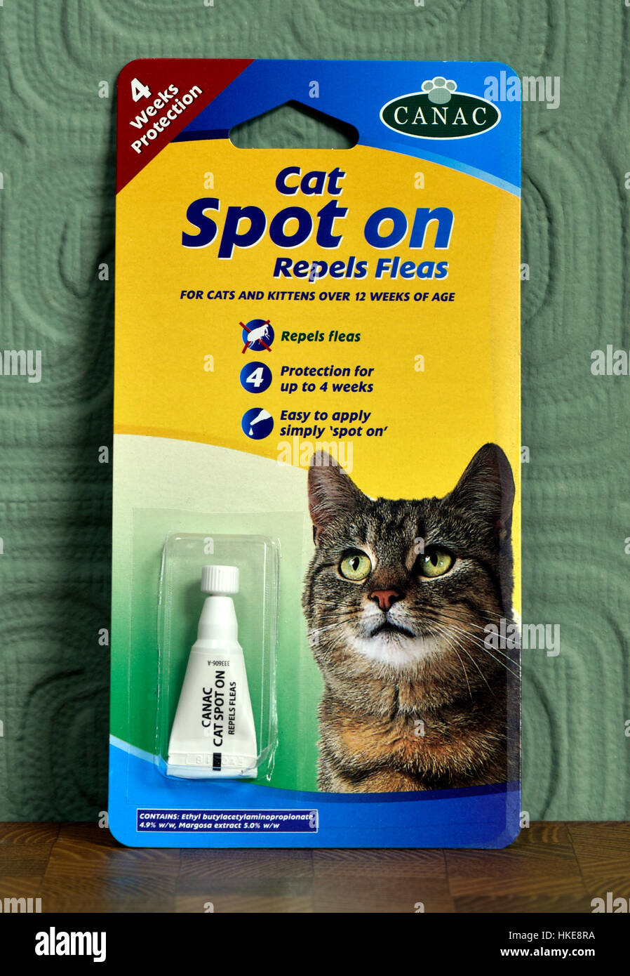 Canac  Cat Spot on repels fleas for cats and kittens over 12 weeks of age. Stock Photo
