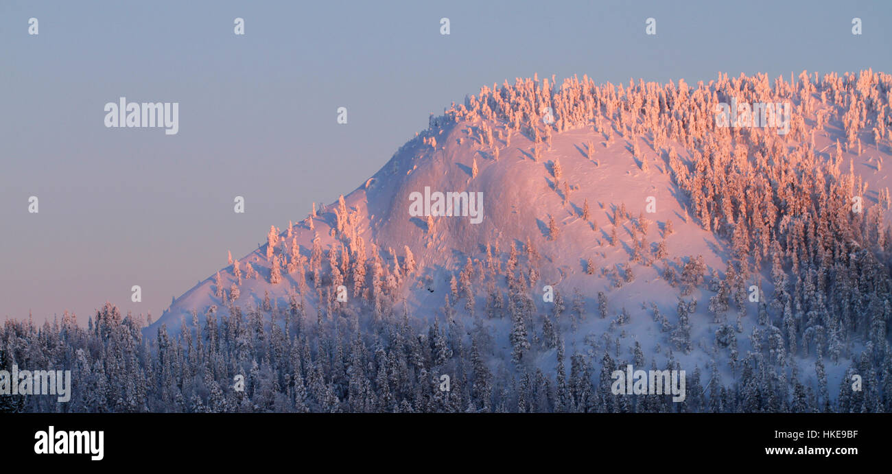 Snow capped Konttainen fell in Kuusamo in Finland. Stock Photo