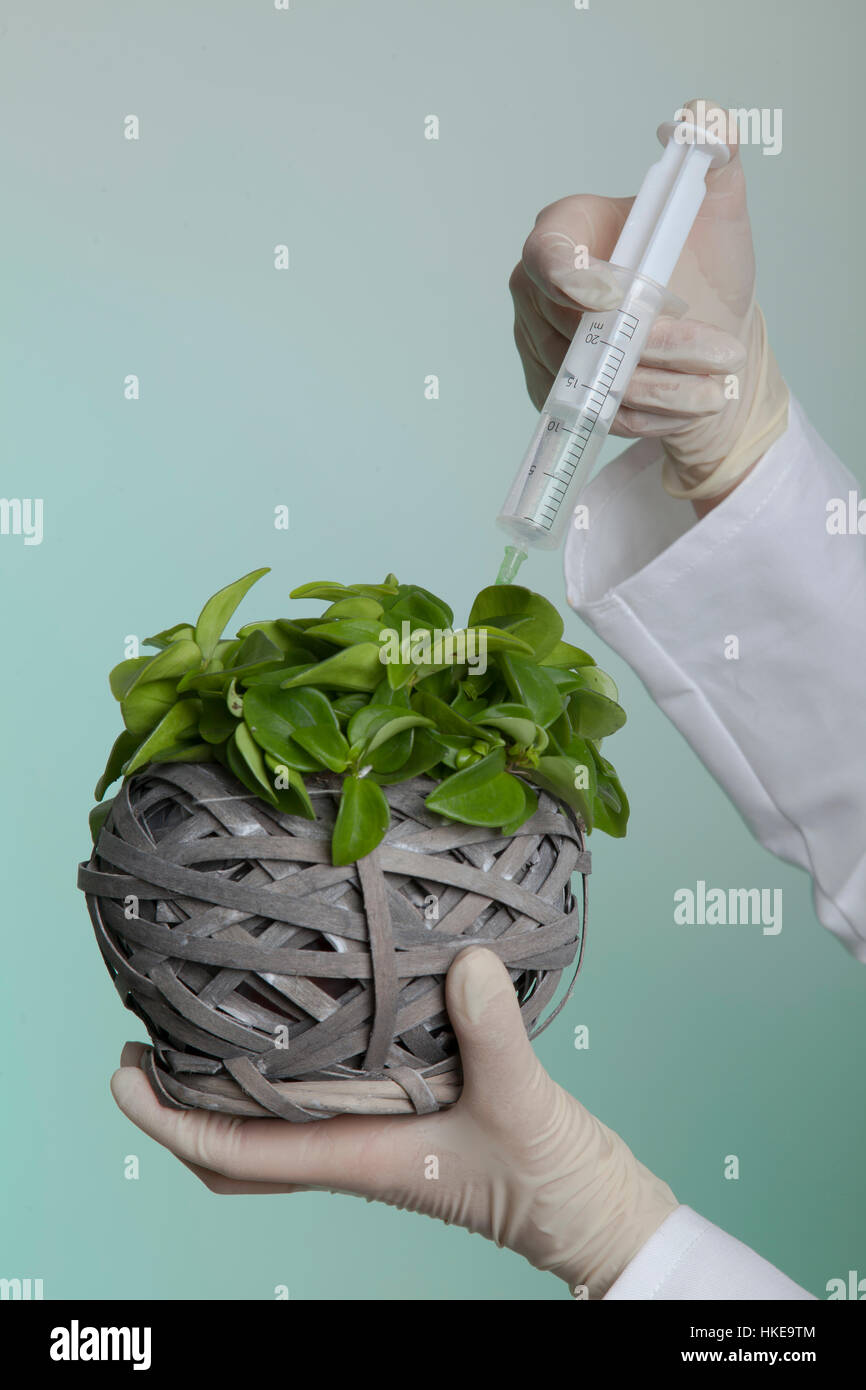 biological manipulation by engineering Stock Photo Alamy