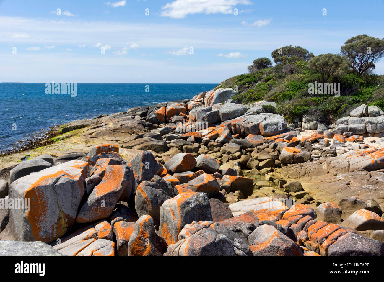 Orange lichen on the rocks at Binalong Bay, Tasmania,Australia Stock Photo