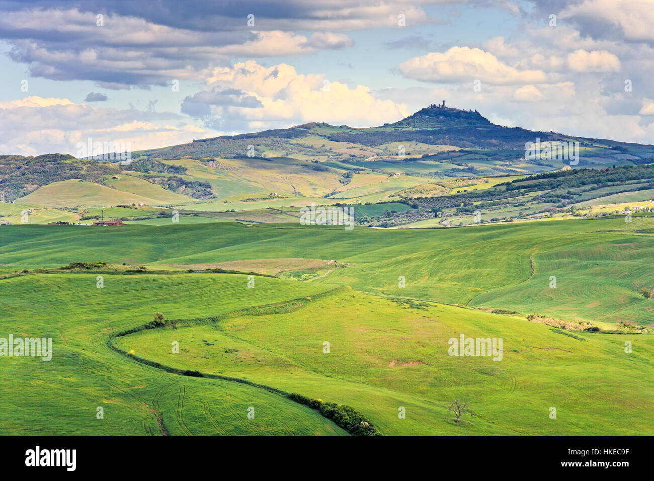 Tuscany, Radicofani village on hilltop, farmland and green fields. Val d Orcia, Italy, Europe. Stock Photo