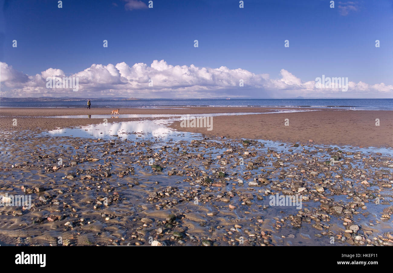 A man walking with dog on Portobello Beach in Edinburgh Stock Photo Alamy