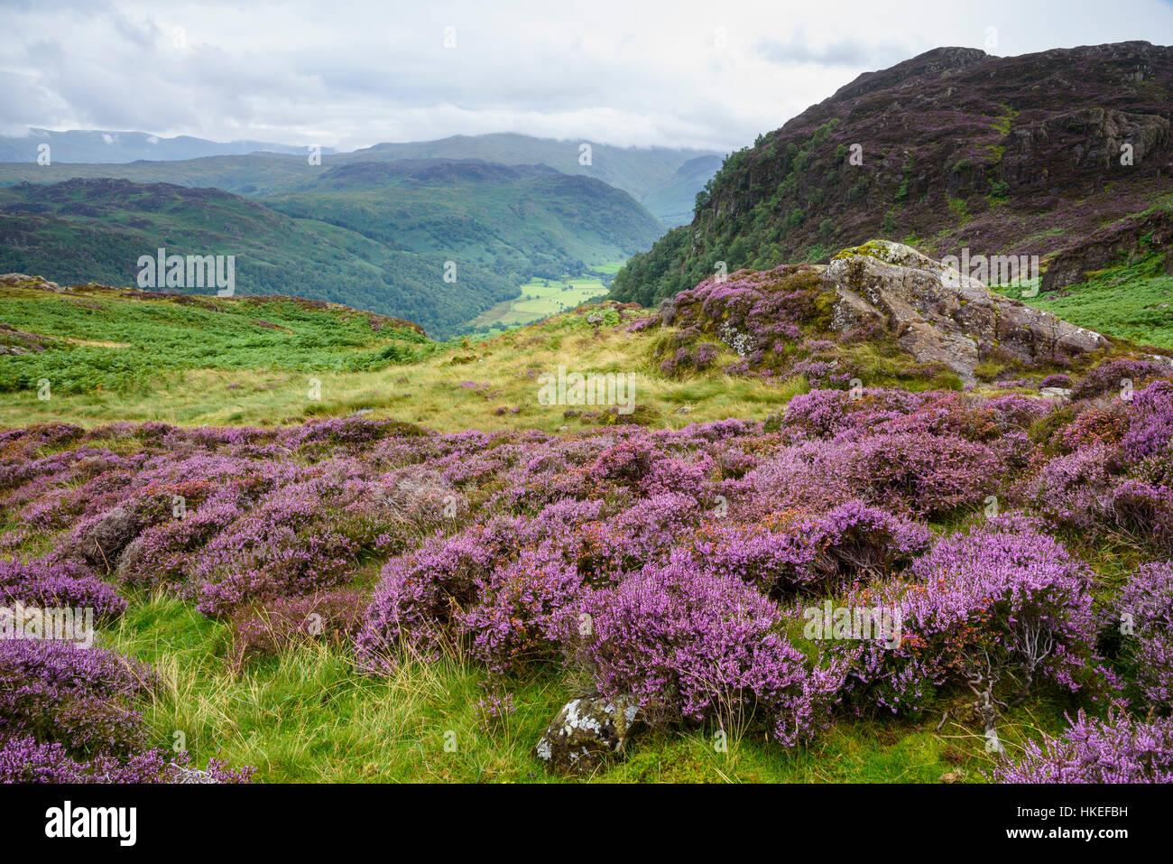 Borrowdale from Nitting Haws, near High Spy, Cumbria, England Stock Photo