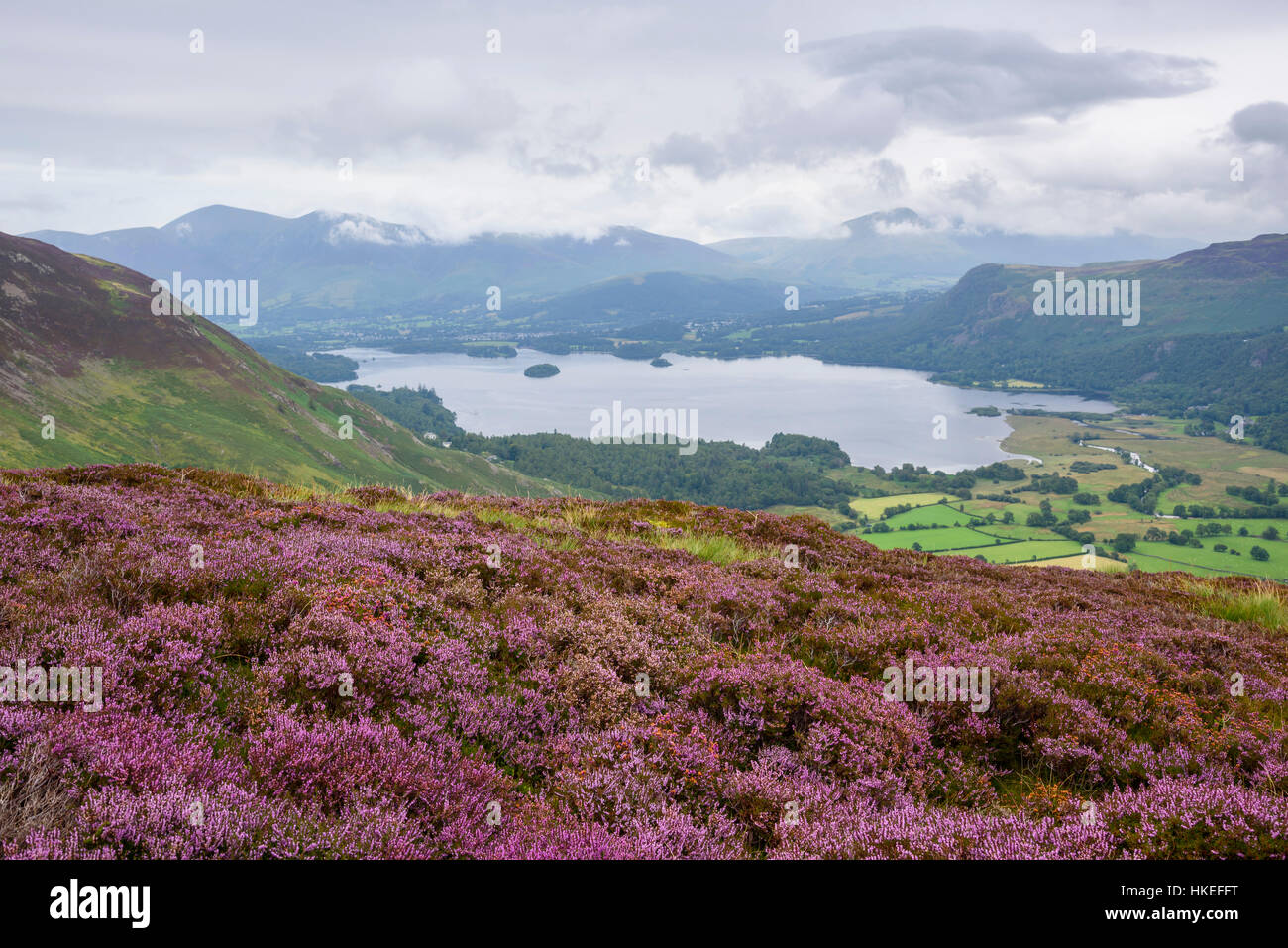 Derwent Water and Borrowdale from Nitting Haws, near High Spy, Cumbria, England Stock Photo