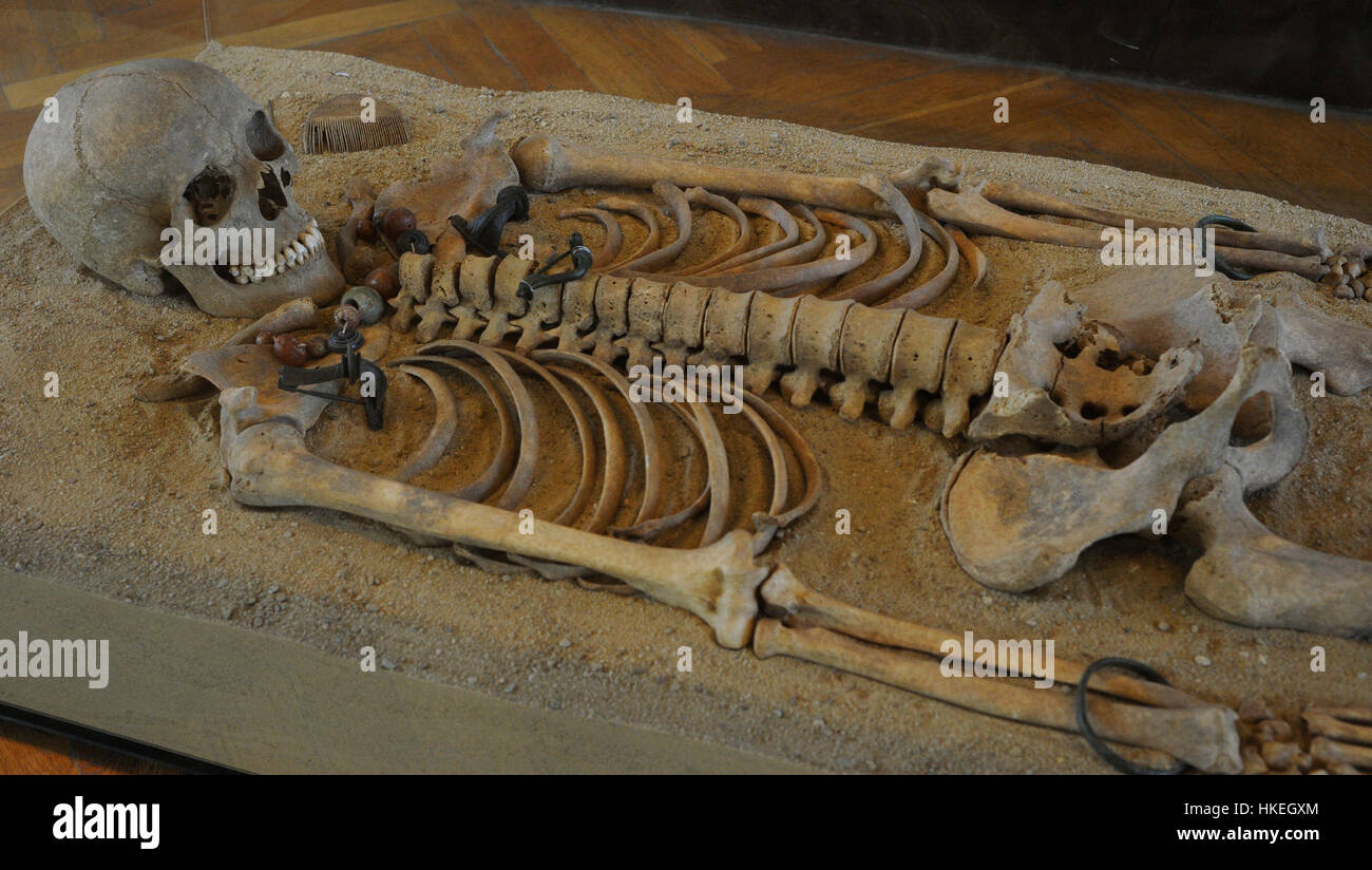 Roman era. Tomb with skeleton. Grave goods: Brooch, necklace, belt, buckles, bracelets, hair needle. Pruszcz Gdanski, Poland. 2nd century. Archeological Museum of Gdansk. Poland. Stock Photo