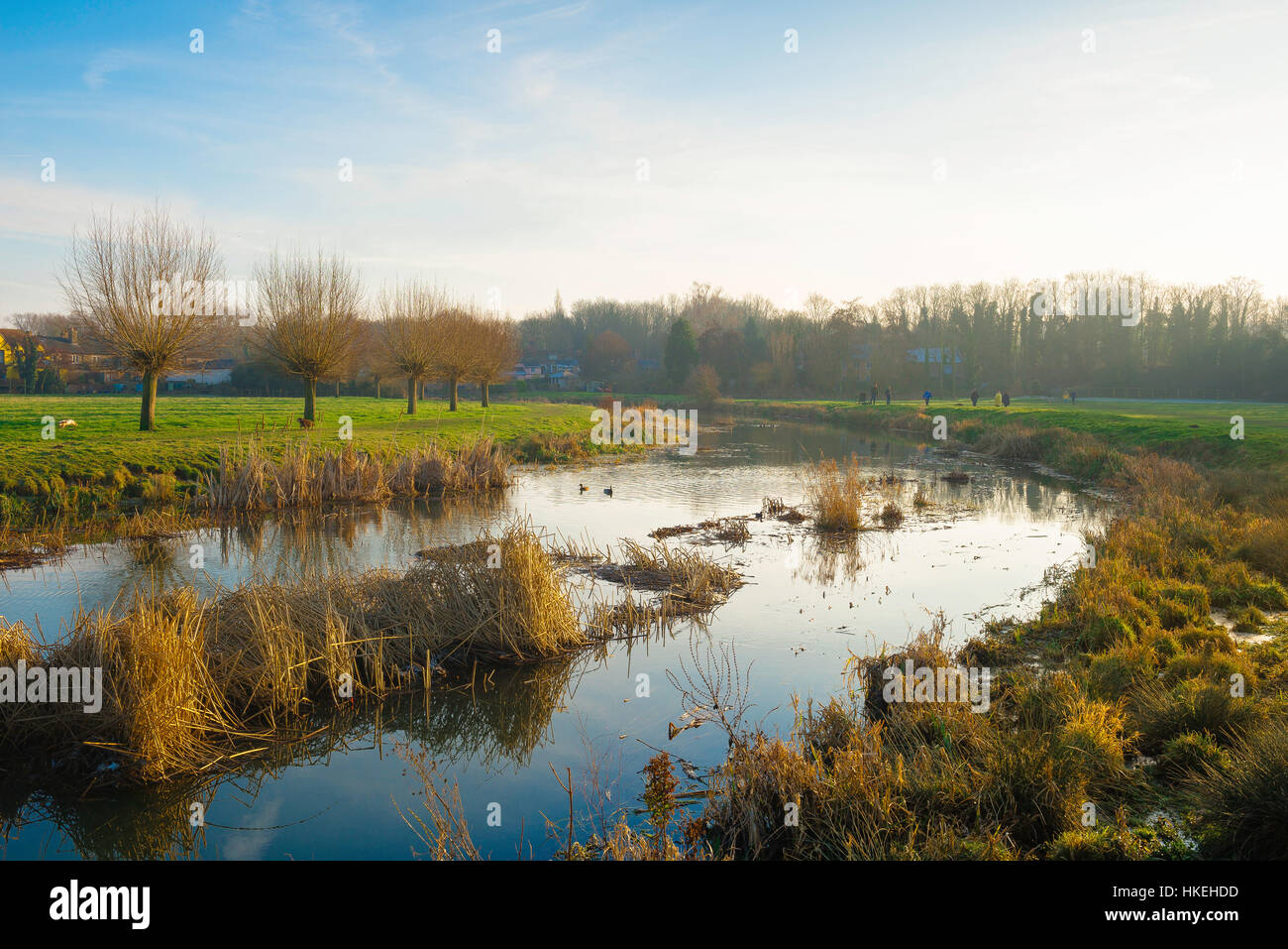 Sudbury Suffolk, winter view of the River Stour passing through the water meadows along the southern edge of the town of Sudbury in Suffolk, UK. Stock Photo