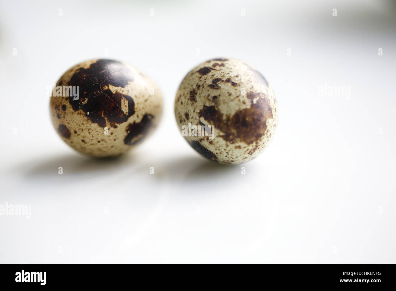 spotted quail eggs on white surface. egg shell, healthy eating, food
