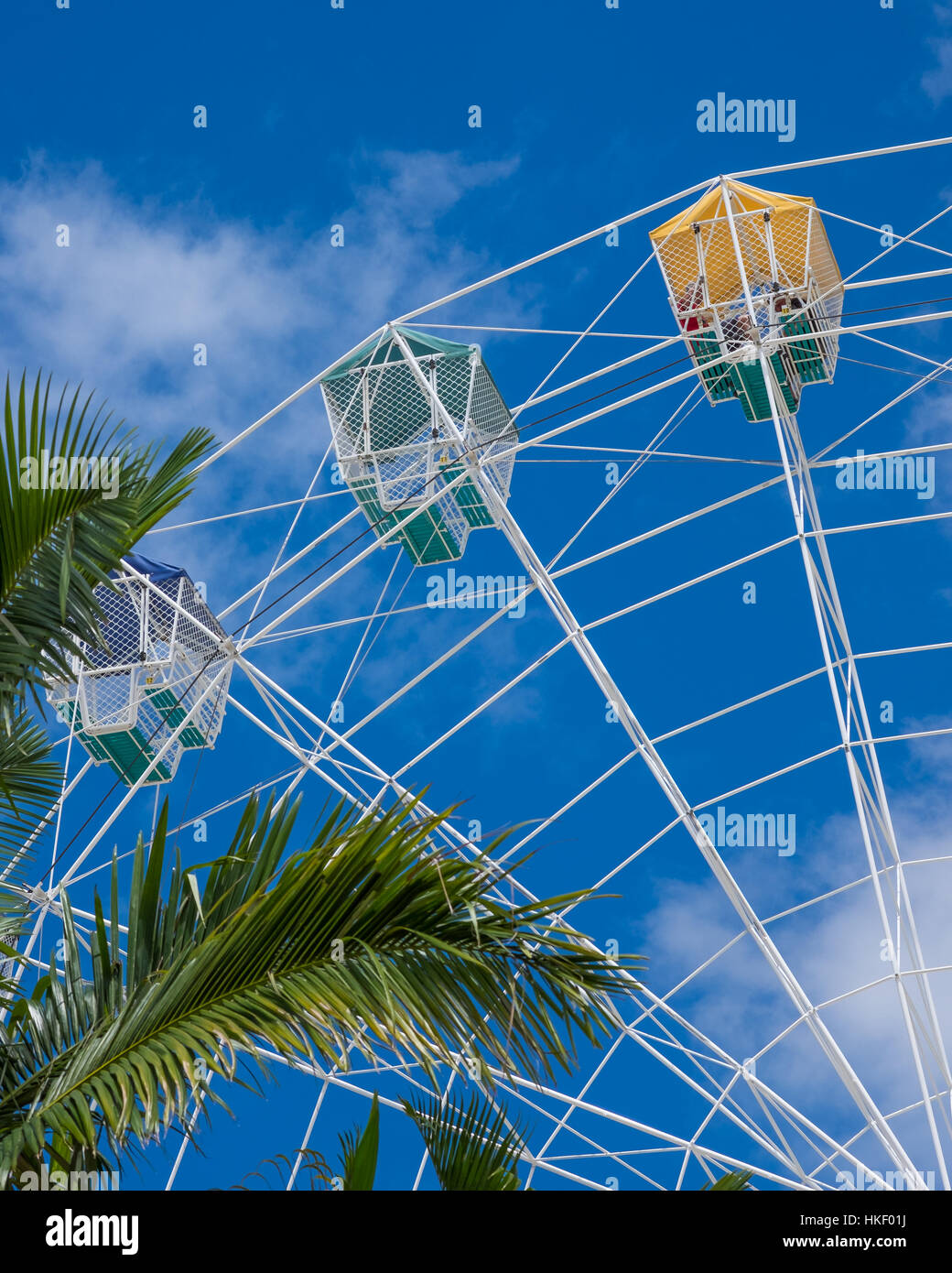 White Ferris wheel against blue sky and clouds with palm tee Stock ...