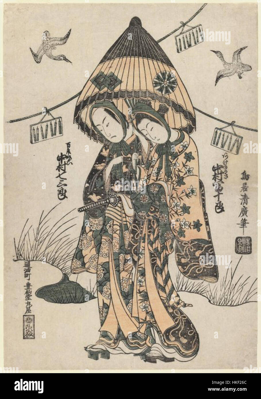 Umbrella like flower hires stock photography and images Alamy