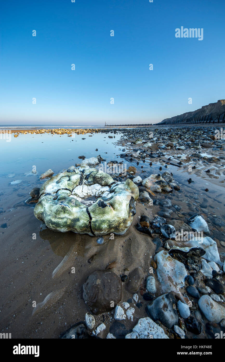 Beeston beach large flint cycle nodules Paramoudra Stock Photo