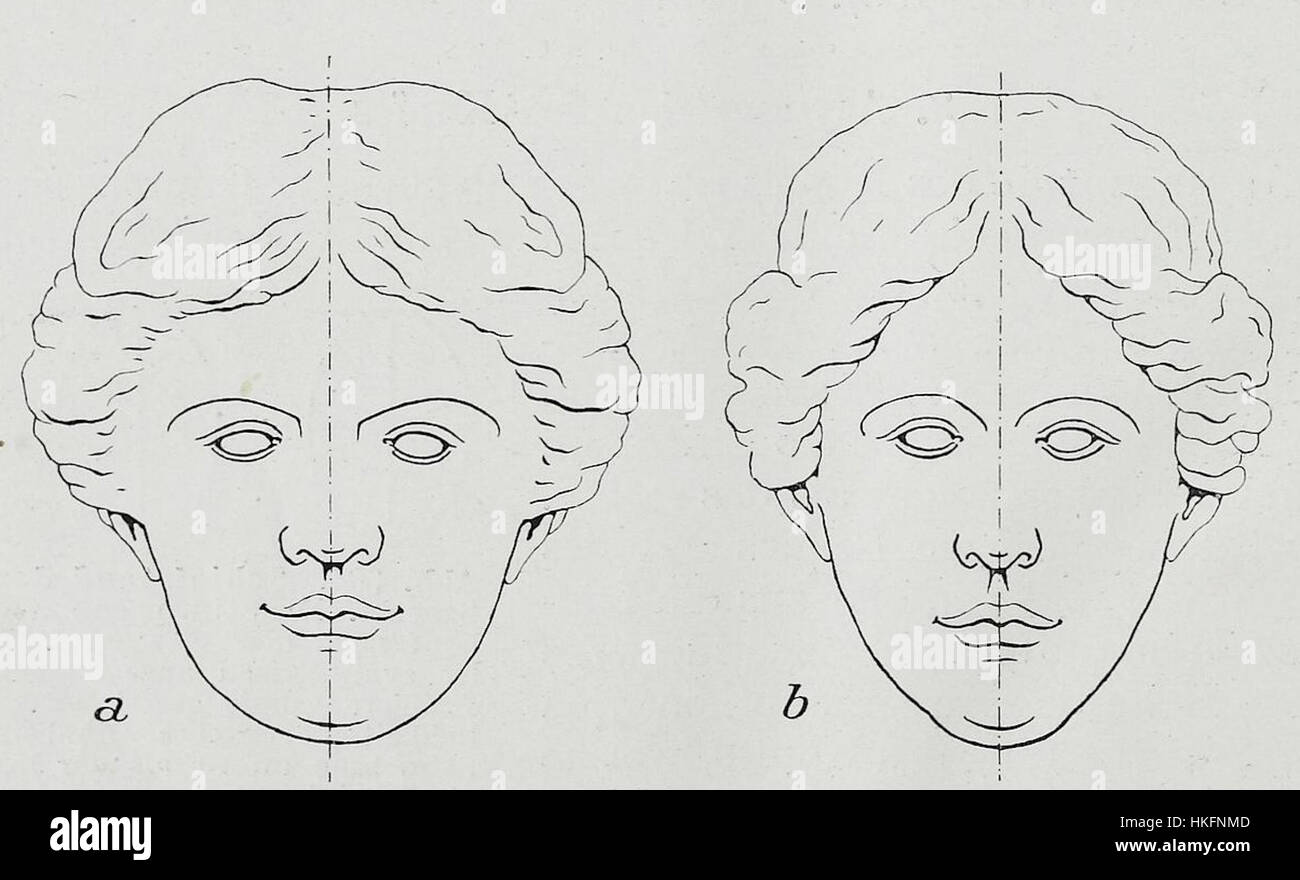 Ось симметрии лица