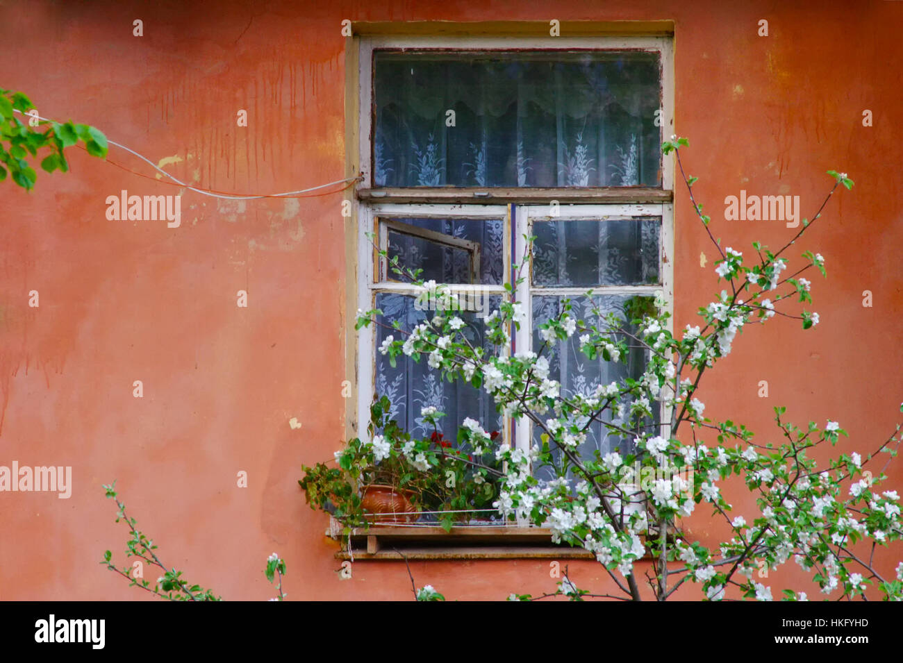 old window on a red concrete wall background Stock Photo - Alamy
