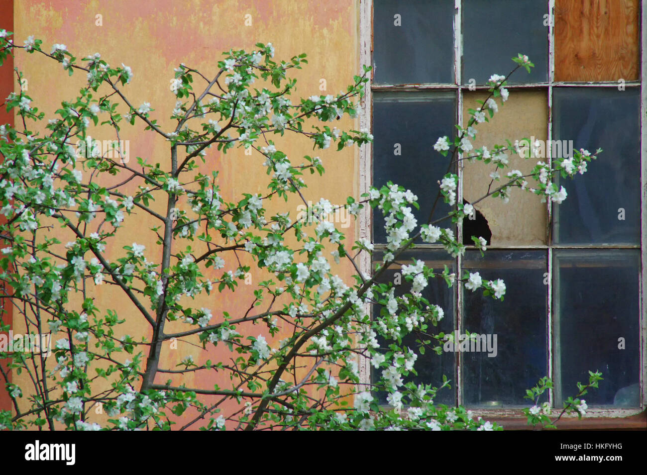 old window on a red concrete wall background Stock Photo - Alamy