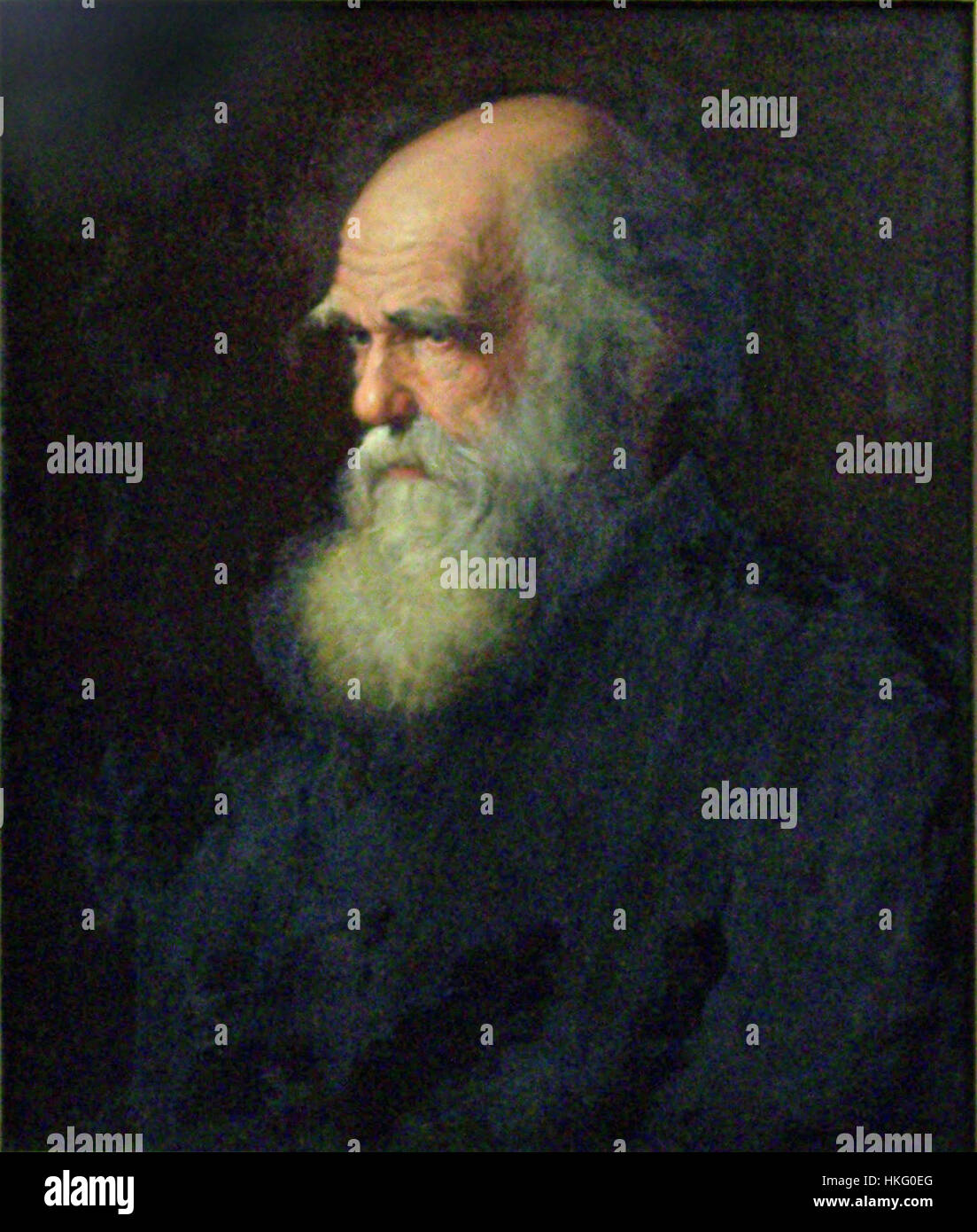 Charles Darwin painting by Walter William Ouless, 1875 Stock Photo Alamy