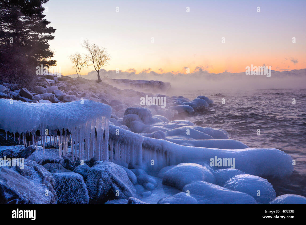 Icy log Stock Photo