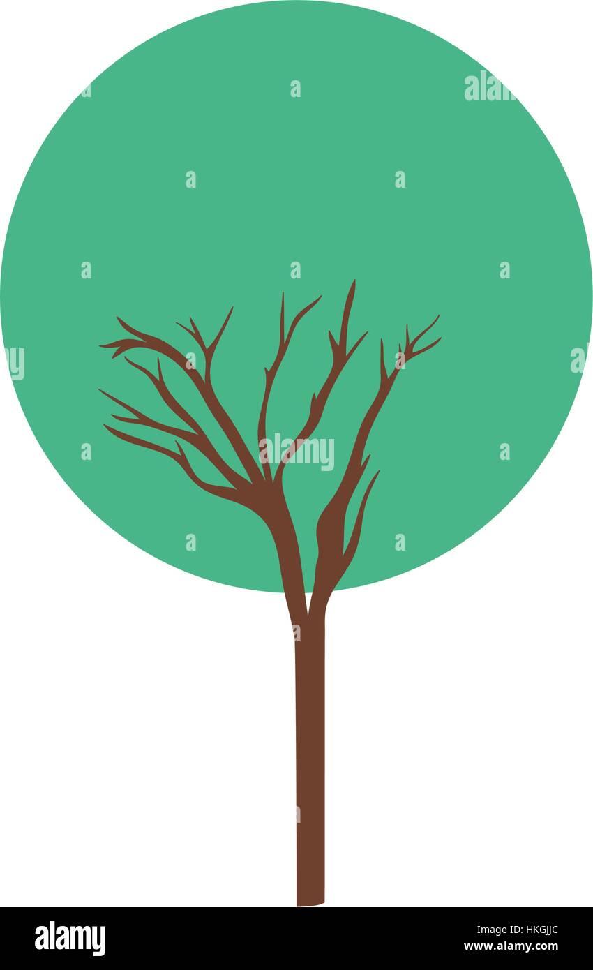 Tree natural ecology icon vector illustration graphic design Stock ...