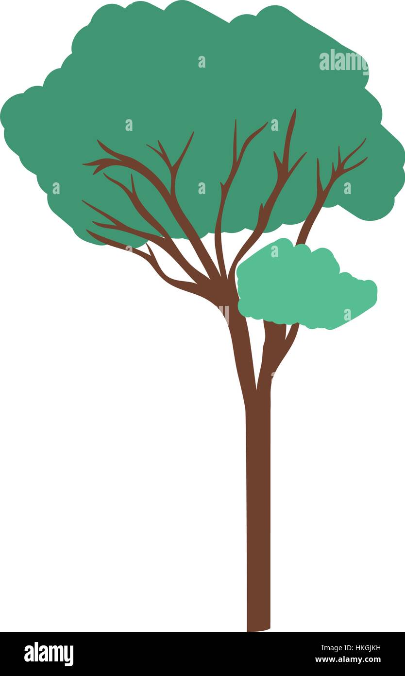 Tree natural ecology icon vector illustration graphic design Stock ...