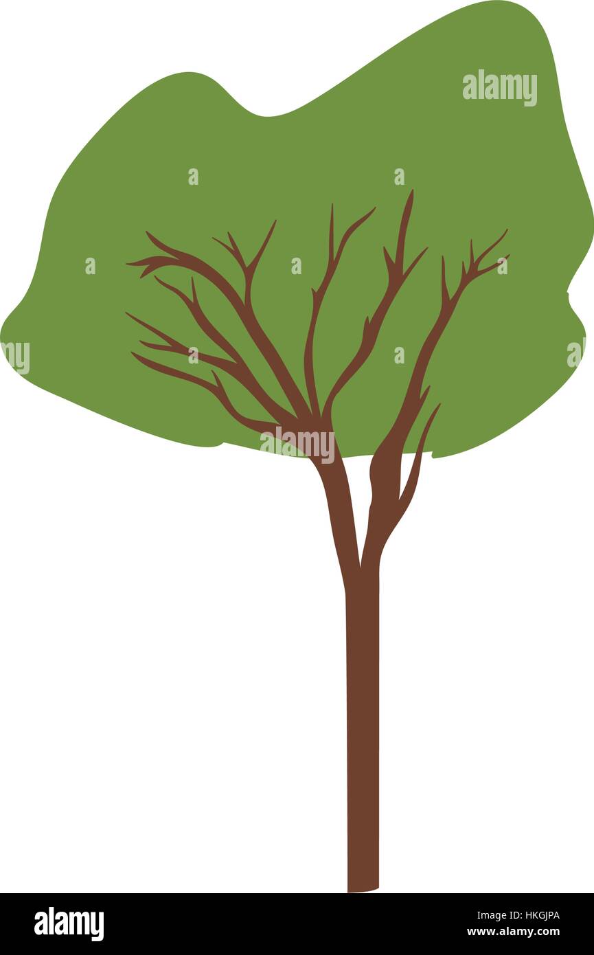 Tree natural ecology icon vector illustration graphic design Stock ...