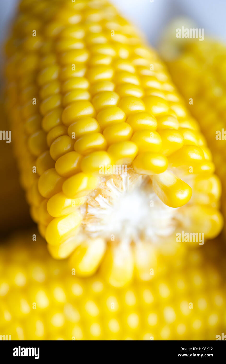 fresh corns. delicacy, kernel, maize, food. Stock Photo