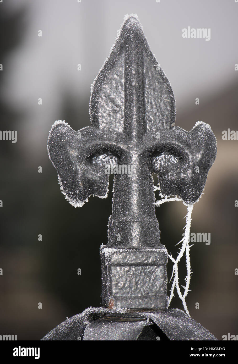 Closeup Of A Vintage Frozen Metallic Spike Stock Photo Alamy