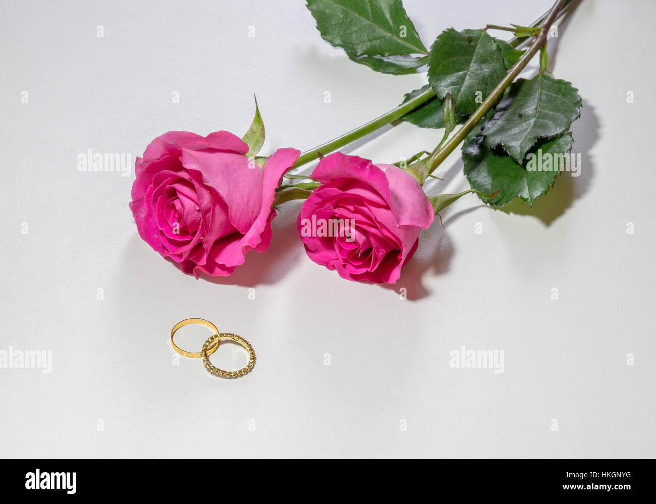 Romantic bright pink roses and stone studded gold engagement rings isolated on white background. Stock Photo