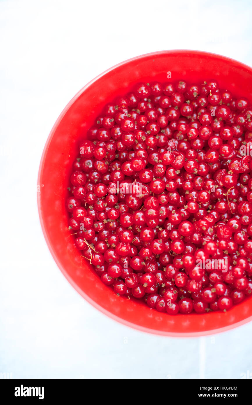 fresh picked red currants in bowl. ripe, berries, antioxidants, food. Stock Photo