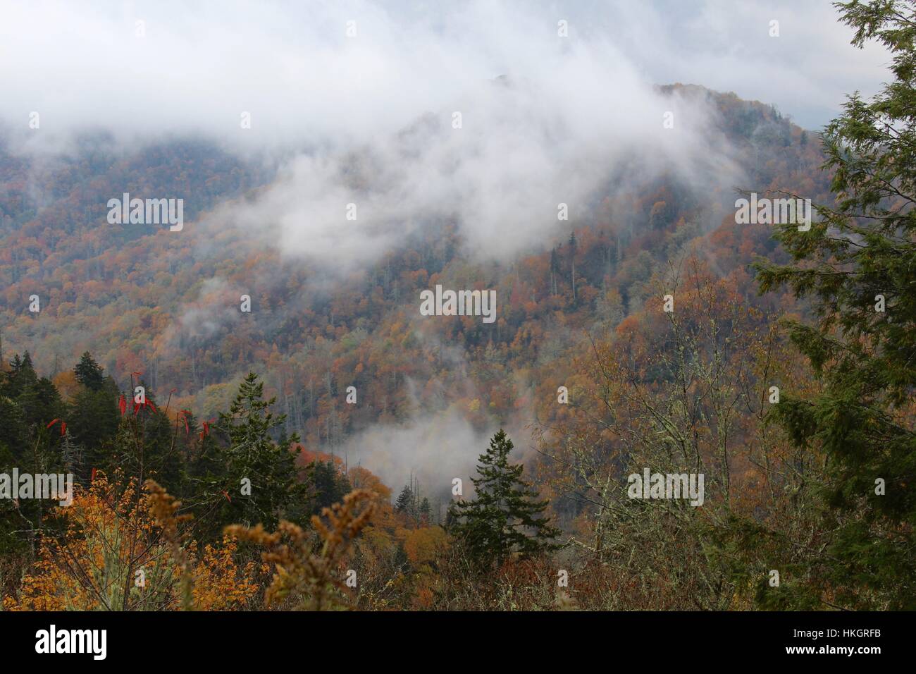 The fog in the valley of the mountains Stock Photo - Alamy