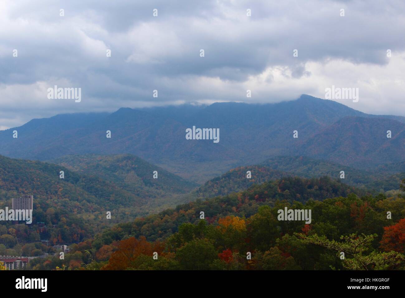 The foggy cloudy day in the mountains Stock Photo - Alamy
