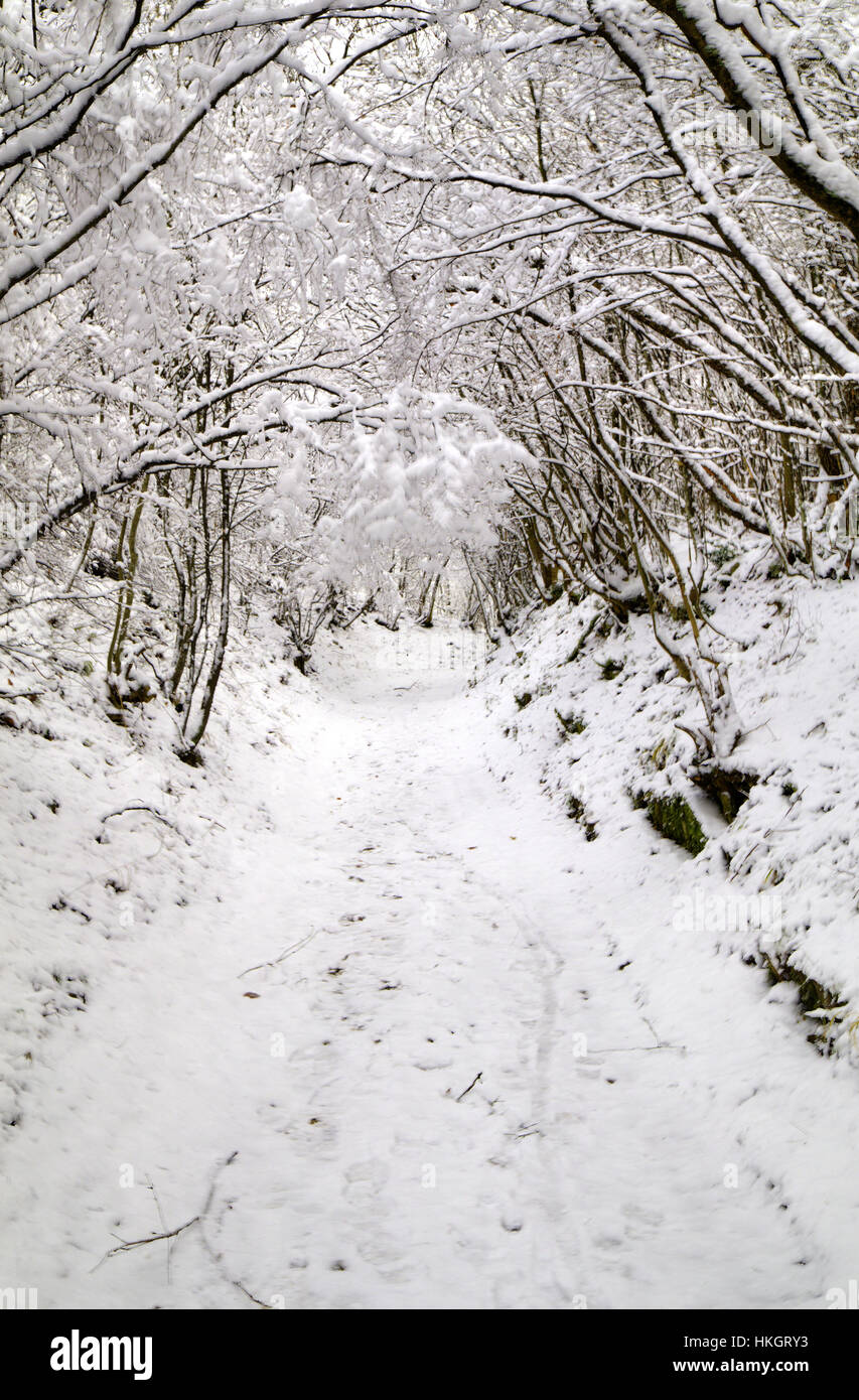 Cold winter frost hi-res stock photography and images - Alamy