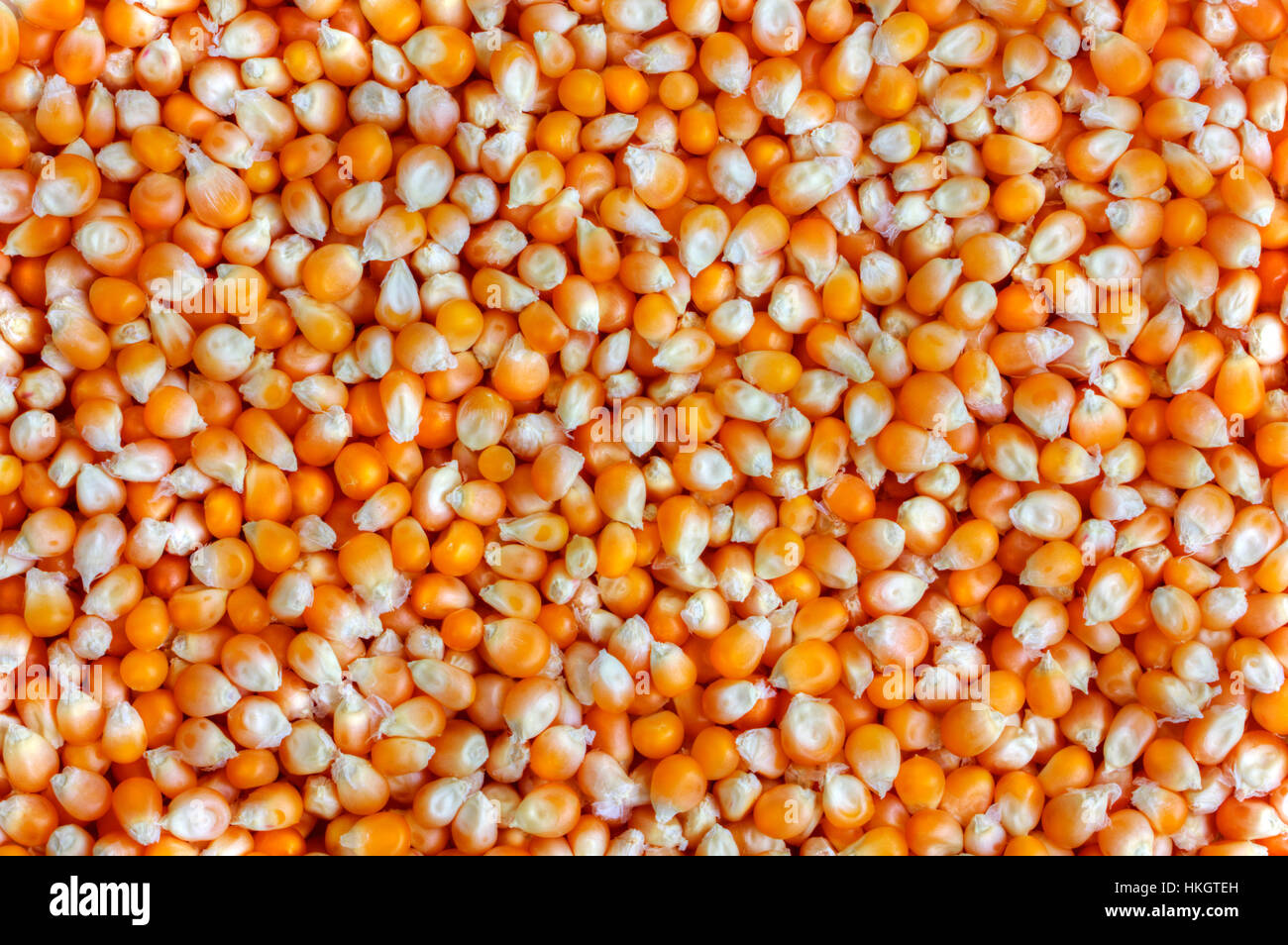 Wallpaper sweetcorn hires stock photography and images Alamy