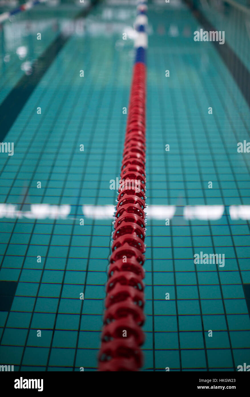 lane marker in swimming pool. water, dividing line, pattern, tiled. Stock Photo