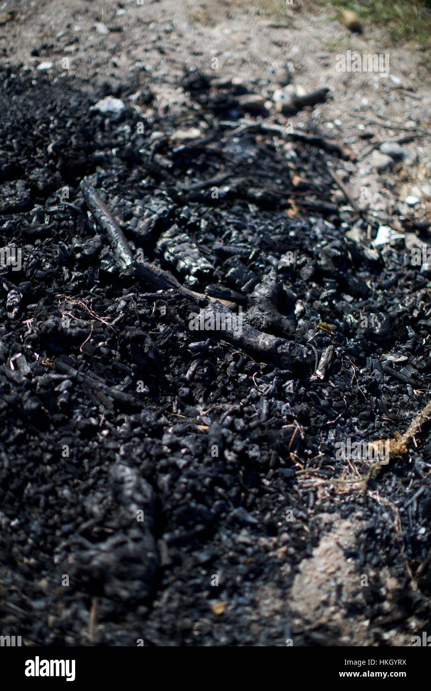 burned wood ashes. garbage, campfire, pollution, ash Stock Photo Alamy