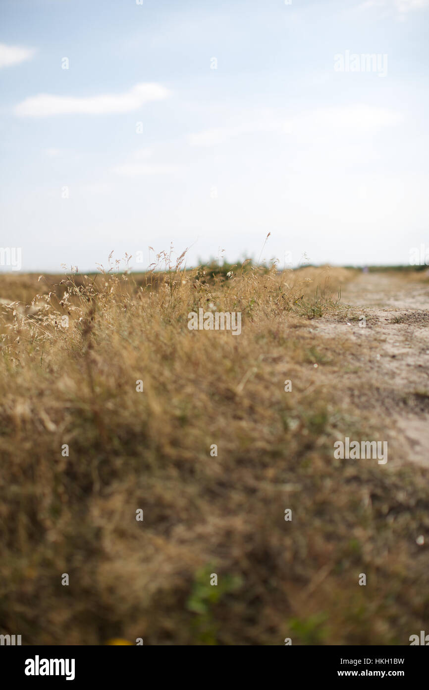 Dry grass field hi-res stock photography and images - Alamy