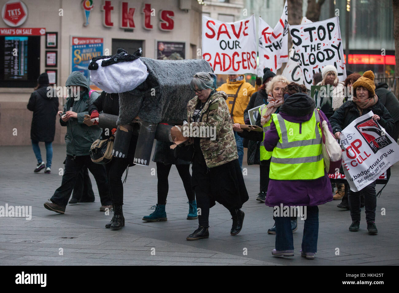 London, UK. 26th January, 2017. Animal rights campaigners march in remembrance of 10,866 badgers killed in the UK during the 2016 season. Stock Photo