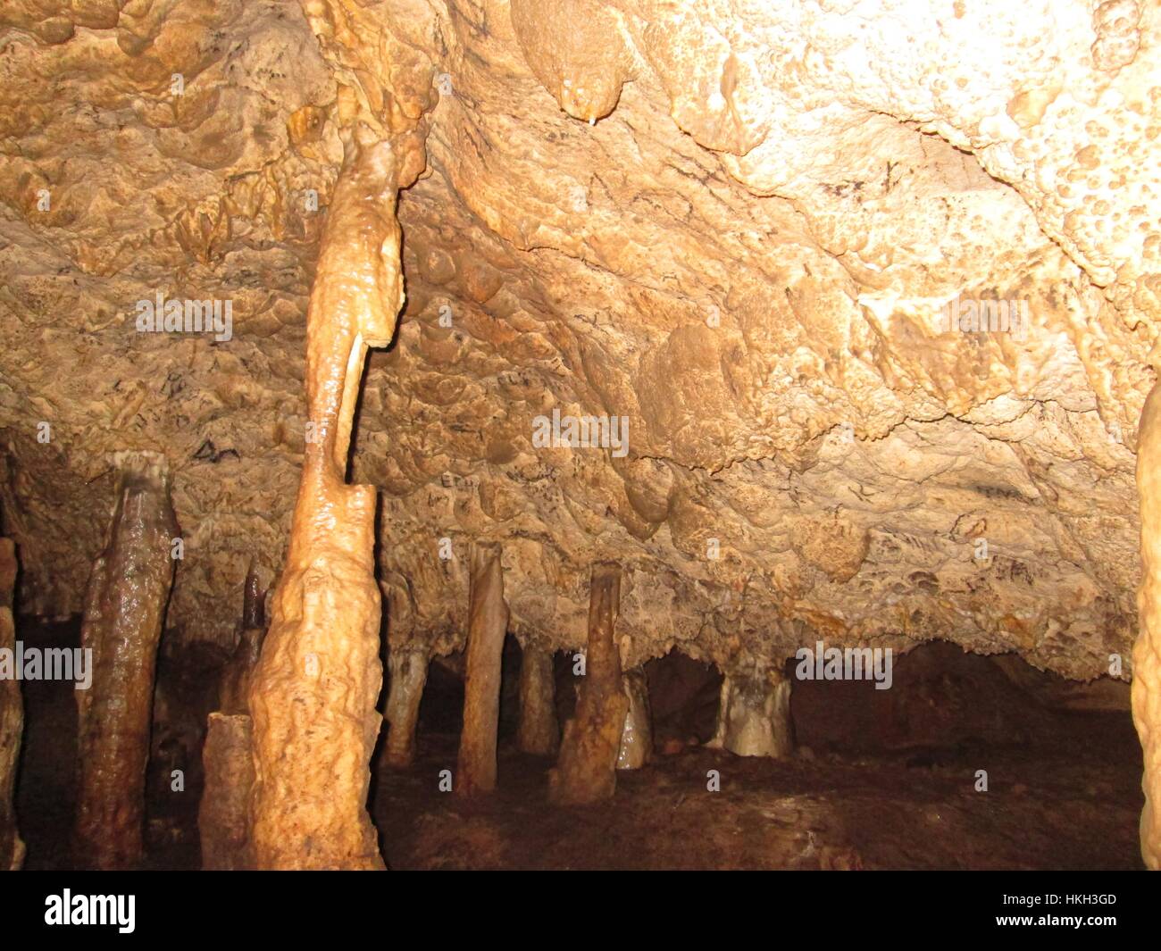 Cueva Del Guacharo National Park