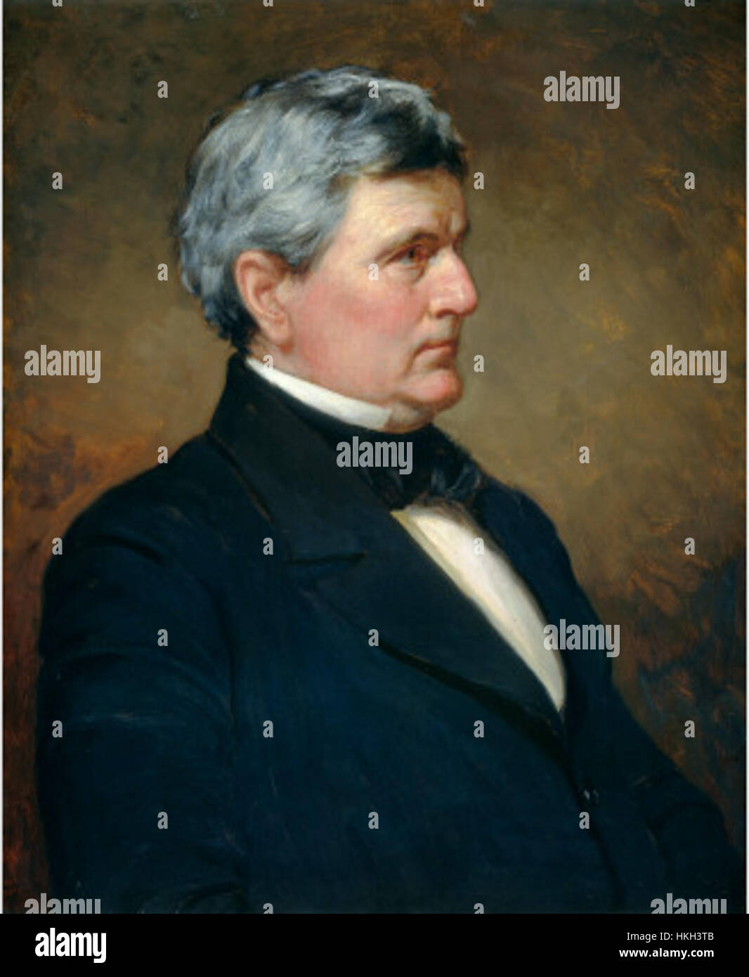 Dr. John Edwards Holbrook, an American physician and herpetologist, was known for his contributions to the study of reptiles. His artwork focused on the natural world, particularly reptiles, reflecting his scientific interests. Stock Photo