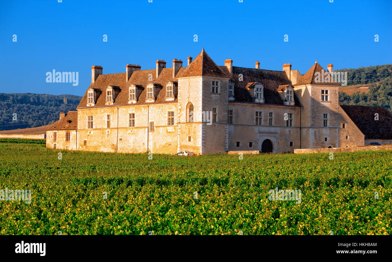 Clos de Vougeot castle in Burgundy Stock Photo