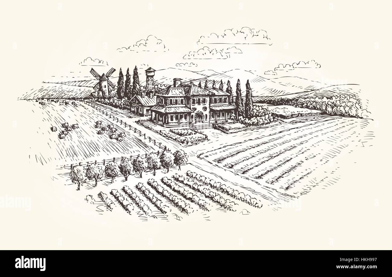 Farm, agriculture or vineyards sketch. Vector illustration Stock Vector