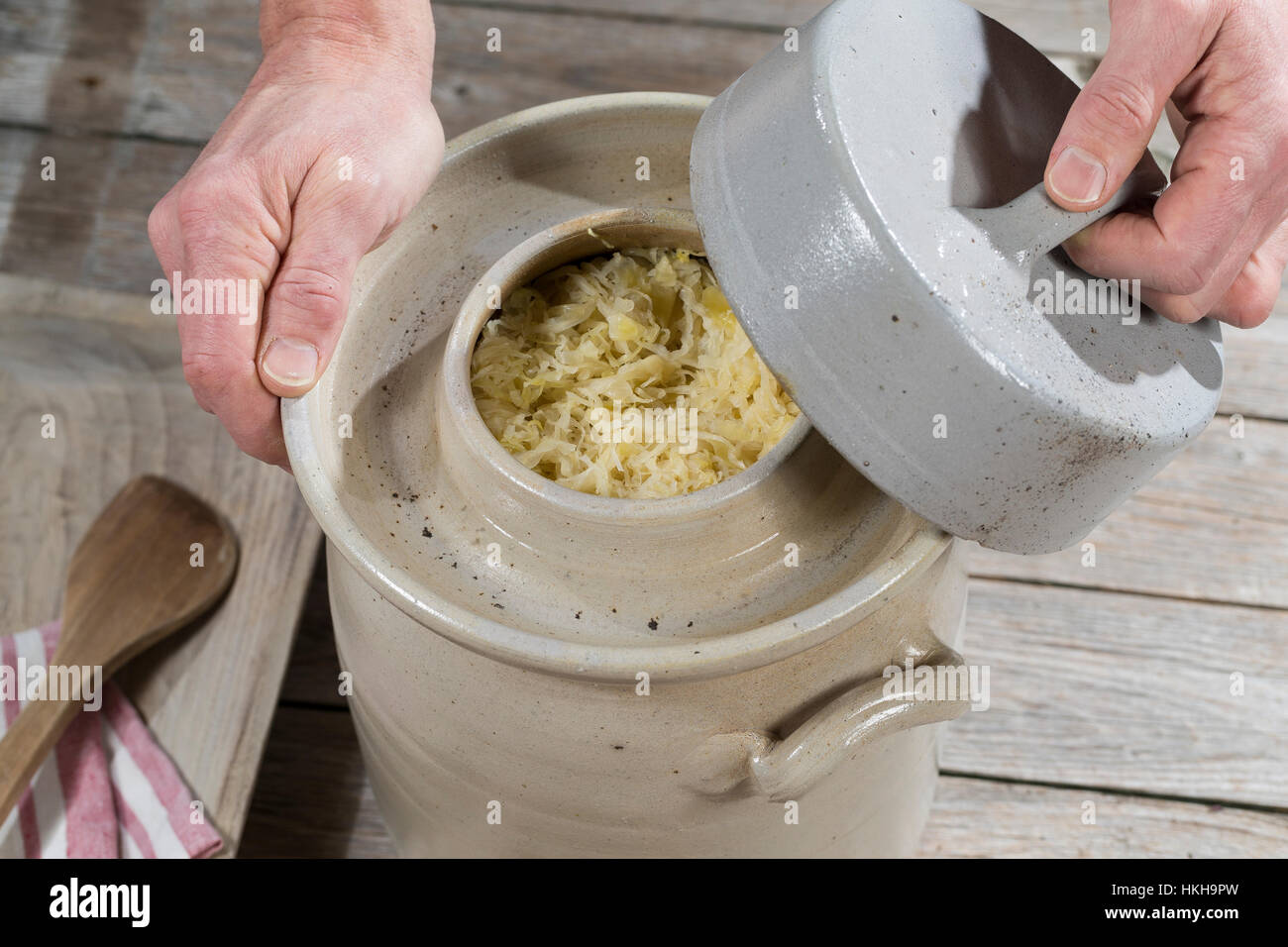 Sauerkraut, Sauerkohl wird in einem Gärtopf selbst hergestellt durch ...