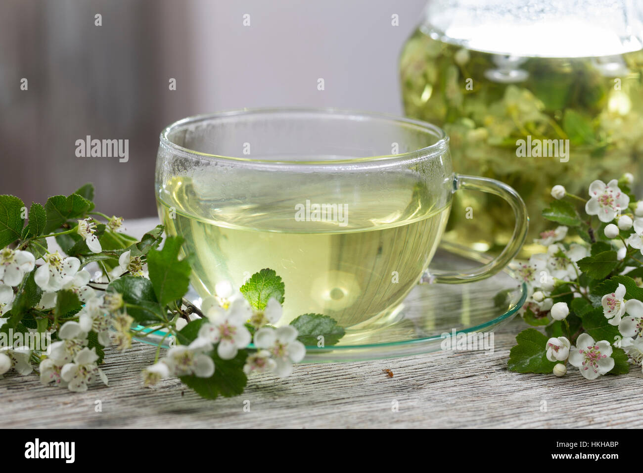Weissdorn Tee Weissdornbluten Tee Weissdorn Blutentee Heiltee Stock Photo Alamy