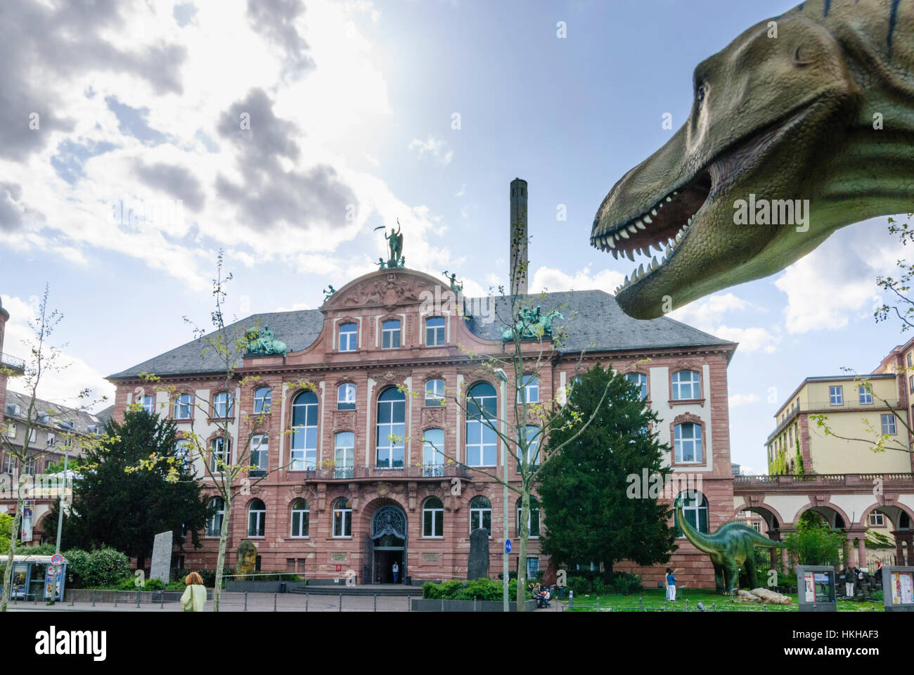 Frankfurt am Main: Nature museum Seckenberg,  Tyrannosaurus Rex, nördlich des Stadtzentrums, Hessen, Hesse, Germany Stock Photo