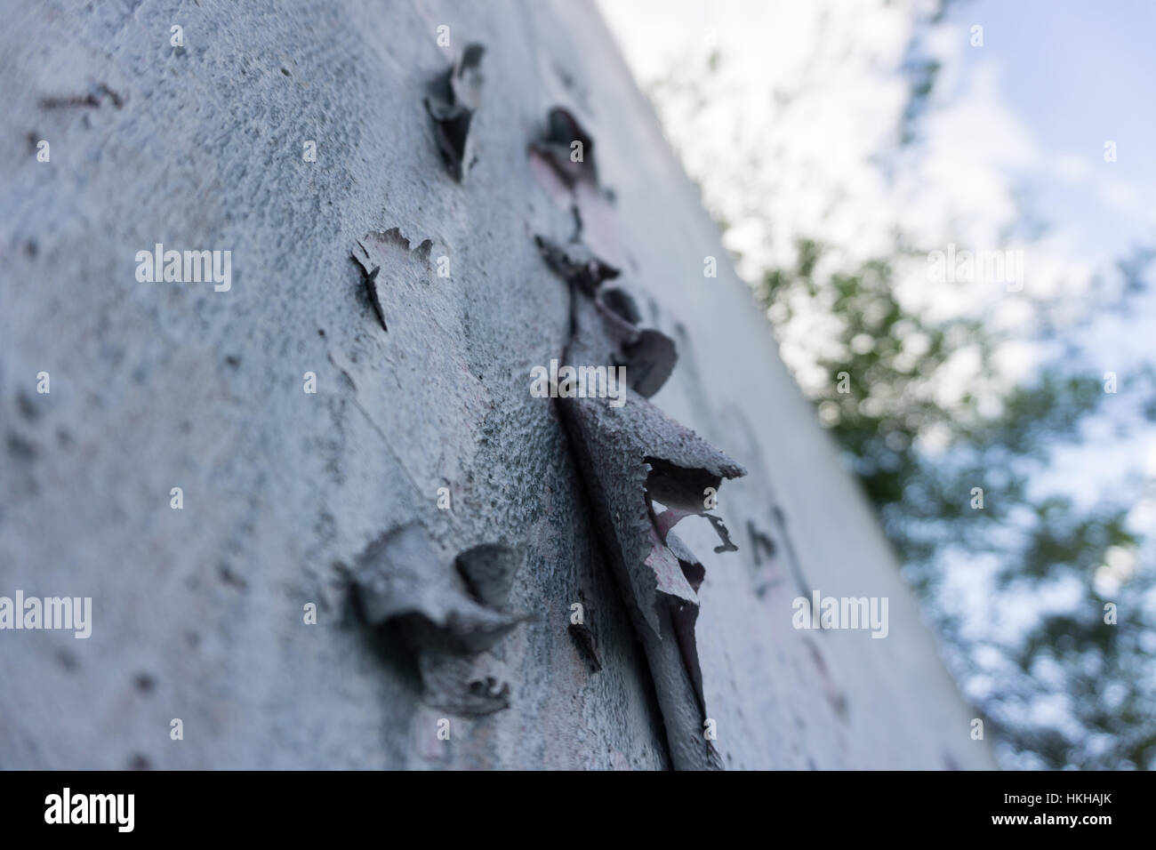 A wall with paint coming off Stock Photo Alamy