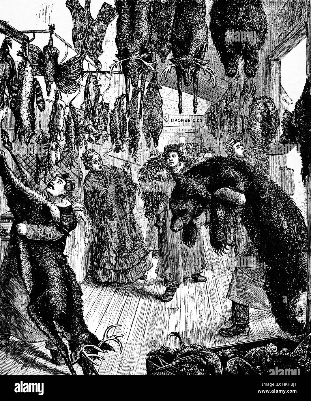 1879: Preparing fur skins or pelts for holiday banquets in  Washington Market. Started in 1812 it operated on the site that was to become the World Trade Center. New York City, United States of America. Stock Photo