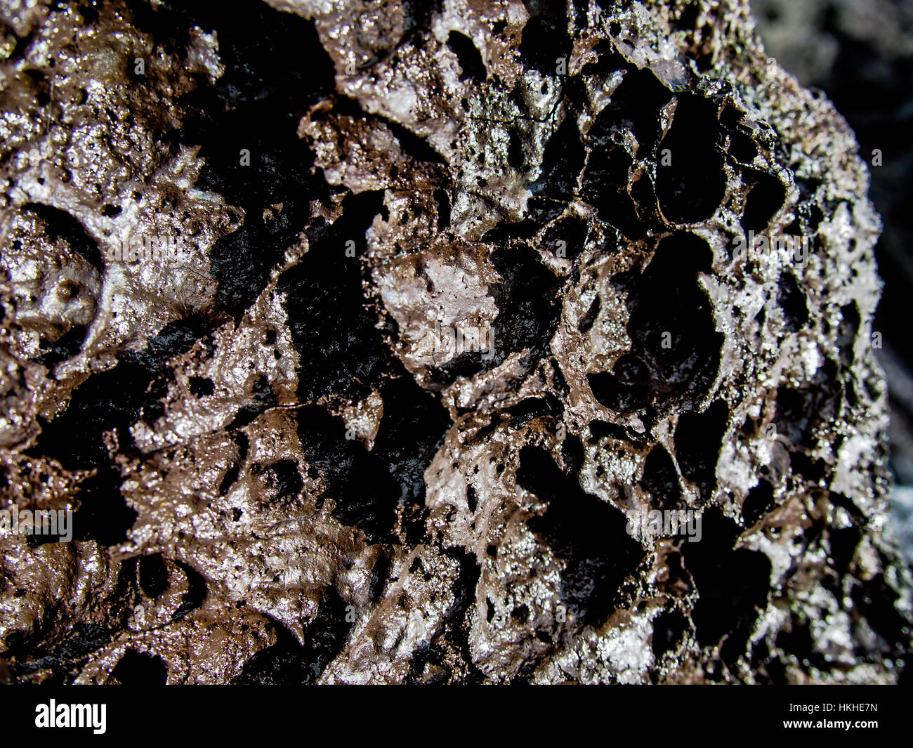 Close up view of the texture of a porous volcanic rock Stock Photo Alamy