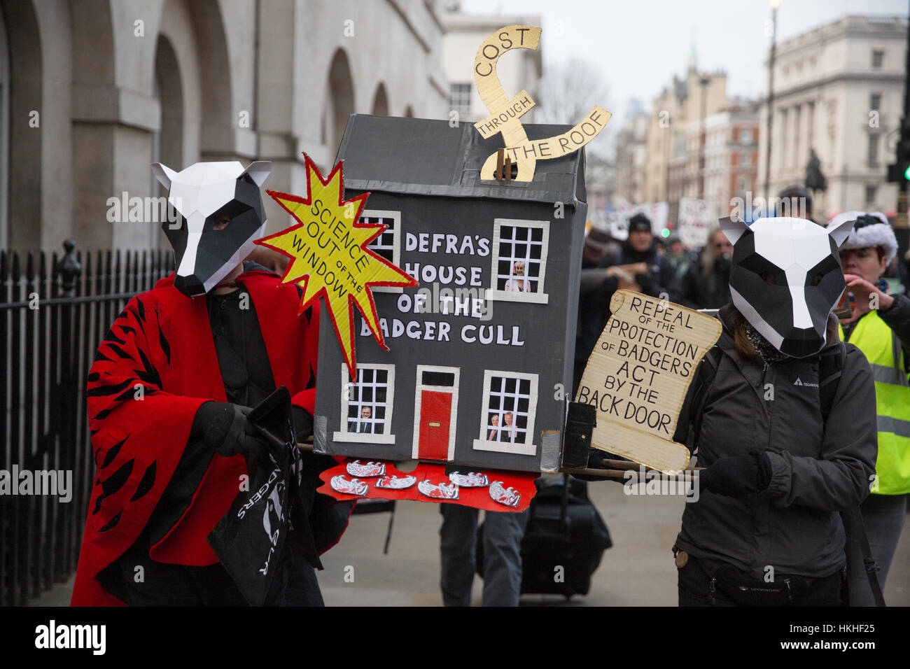 London, UK. 26th January, 2017. Animal rights campaigners march in remembrance of 10,866 badgers killed in the UK during the 2016 season. Stock Photo